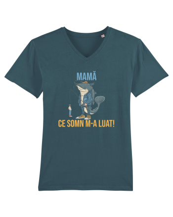 MAMA, CE SOMN M-A LUAT! Stargazer