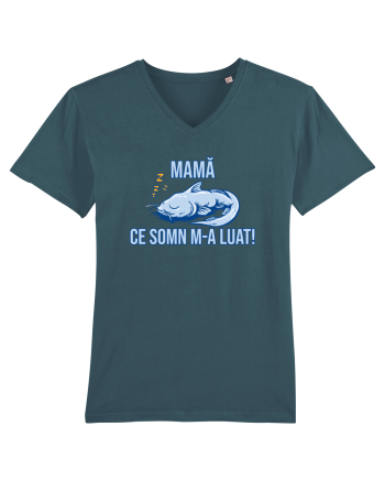 MAMA, CE SOMN M-A LUAT! 2 Stargazer