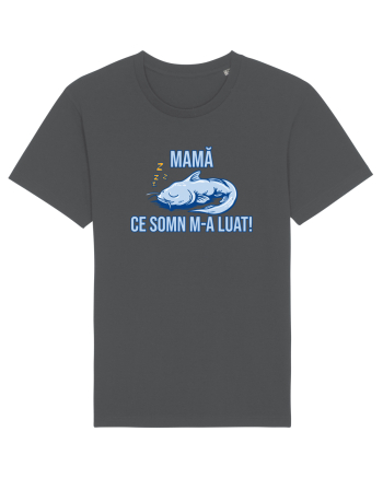 MAMA, CE SOMN M-A LUAT! 2 Anthracite