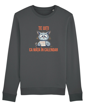 TE UITI CA MATA IN CALENDAR 2 Anthracite