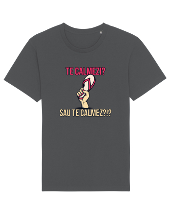 TE CALMEZI SAU TE CALMEZ?!? Anthracite