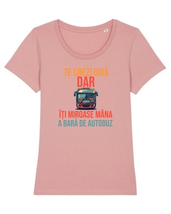 TE CREZI DIVA, DAR ITI MIROASE MANA A BARA DE AUTOBUZ 1 Canyon Pink