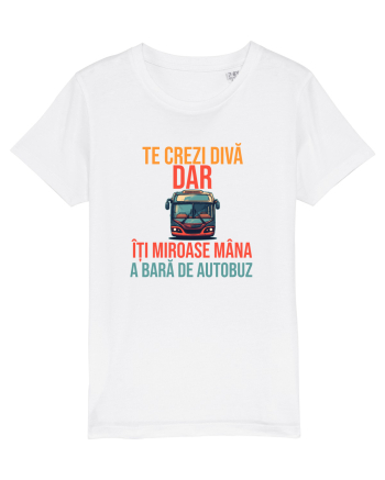 TE CREZI DIVA, DAR ITI MIROASE MANA A BARA DE AUTOBUZ 1 White