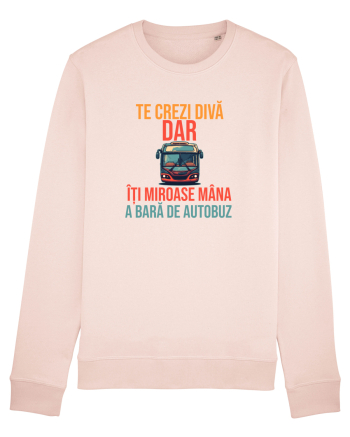 TE CREZI DIVA, DAR ITI MIROASE MANA A BARA DE AUTOBUZ 1 Candy Pink