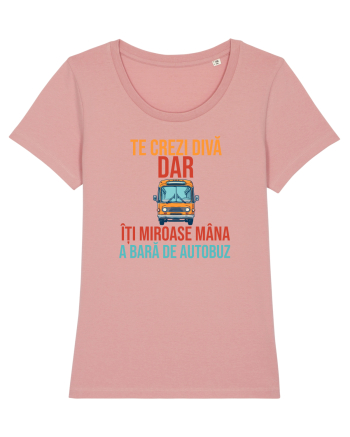 TE CREZI DIVA, DAR ITI MIROASE MANA A BARA DE AUTOBUZ 2 Canyon Pink