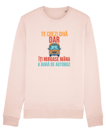 TE CREZI DIVA, DAR ITI MIROASE MANA A BARA DE AUTOBUZ 2 Bluză mânecă lungă Unisex Rise