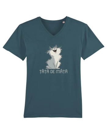 ȚAȚA DE MAȚA 2 Stargazer