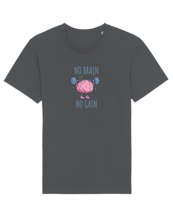 NO BRAIN, NO GAIN - NU AI CREIER, NU AI SUCCES Anthracite