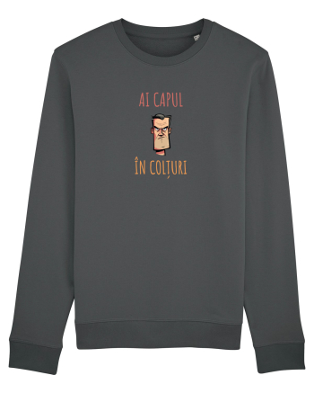 AI CAPUL IN COLTURI 1 Anthracite