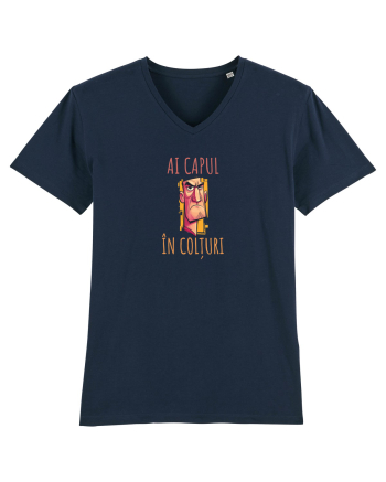 AI CAPUL IN COLTURI 2 French Navy