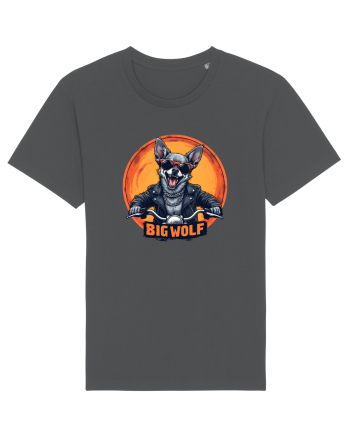 BIG WOLF - CHIHUAHUA CARE SE CREDE LUP Anthracite