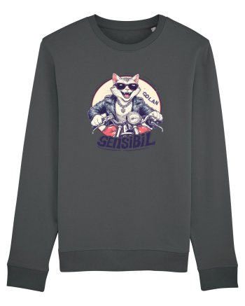 MOTAN - GOLAN SENSIBIL -  MOTOCICLIST Anthracite