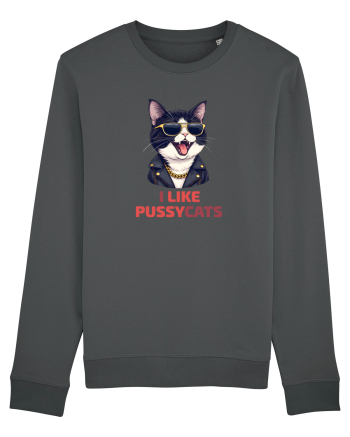 MOTAN -  I LIKE PUSSY CATS 2 Anthracite