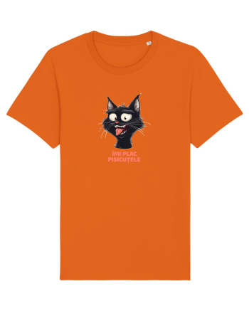 IMI PLAC PISICUTELE Bright Orange