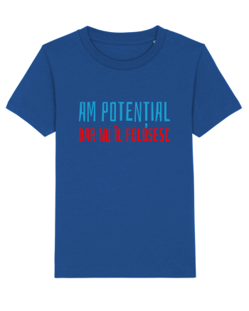 AM POTENTIAL, DAR NU IL FOLOSESC Majorelle Blue