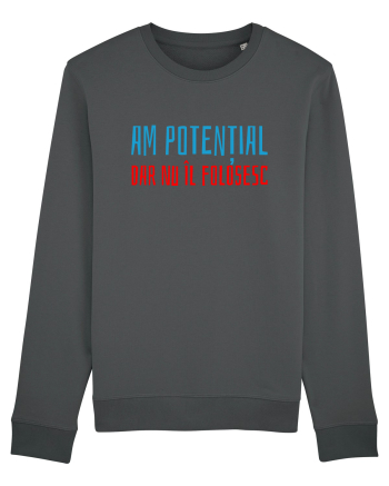 AM POTENTIAL, DAR NU IL FOLOSESC Anthracite