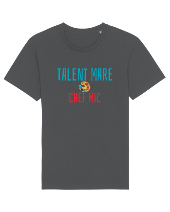 TALENT MARE, CHEF MIC Anthracite