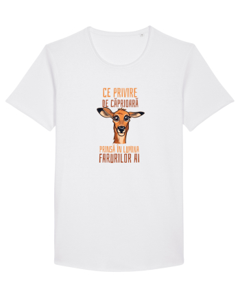 CE PRIVIRE DE CAPRIOARA PRINSA IN LUMINA FARURILOR AI! 1 White