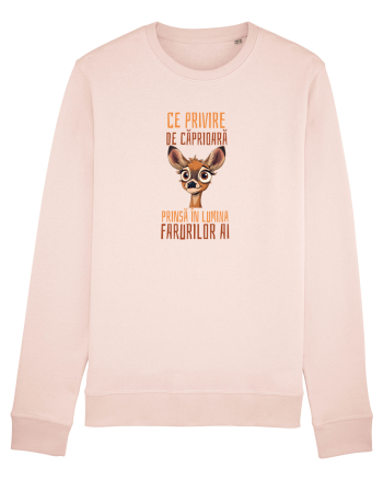 CE PRIVIRE DE CAPRIOARA PRINSA IN LUMINA FARURILOR AI! 2 Candy Pink