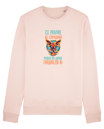 CE PRIVIRE DE CAPRIOARA PRINSA IN LUMINA FARURILOR AI! 3 Candy Pink