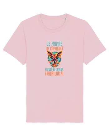 CE PRIVIRE DE CAPRIOARA PRINSA IN LUMINA FARURILOR AI! 3 Cotton Pink