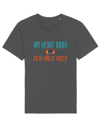 AM VENIT DOAR CA SA VAD CE FACETI 1 Anthracite