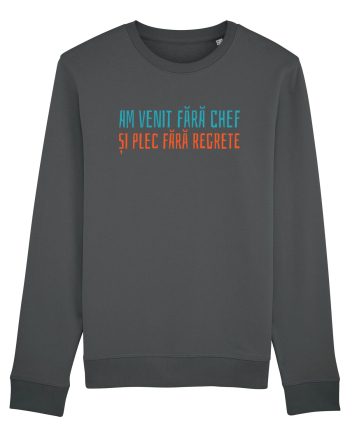 AM VENIT FARA CHEF SI PLEC FARA REGRETE Anthracite