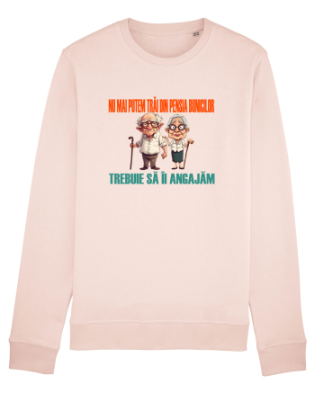 NU MAI PUTEM TRAI DIN PENSIA BUNICILOR... TREBUIE SA II ANGAJAM Candy Pink