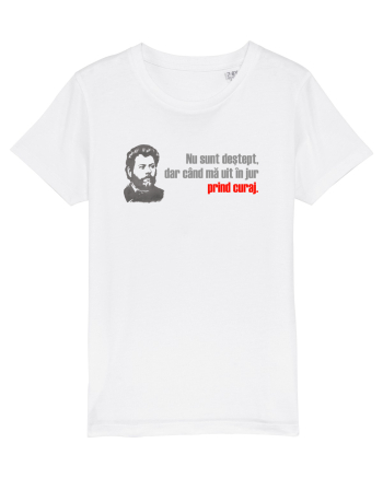NU SUNT DESTEPT, DAR CAND MA UIT IN JUR PRIND CURAJ - citat Ion Creanga White