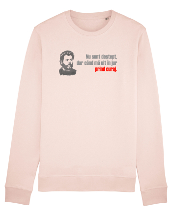 NU SUNT DESTEPT, DAR CAND MA UIT IN JUR PRIND CURAJ - citat Ion Creanga Candy Pink
