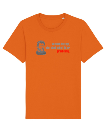 NU SUNT DESTEPT, DAR CAND MA UIT IN JUR PRIND CURAJ - citat Ion Creanga Bright Orange
