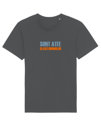 SUNT ATEE, SLAVA DOMNULUI! Anthracite