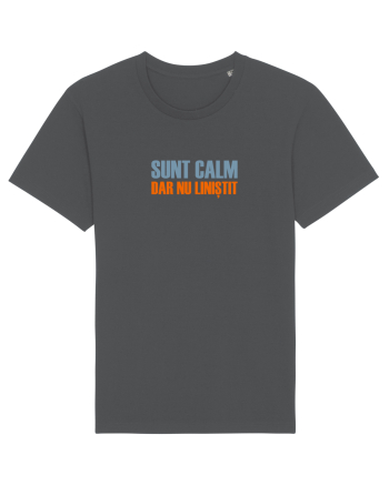 SUNT CALM, DAR NU LINISTIT Anthracite