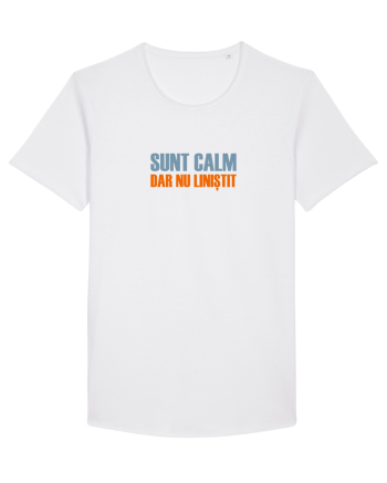 SUNT CALM, DAR NU LINISTIT White