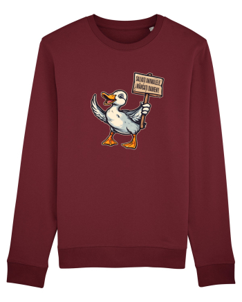 SALVATI ANIMALELE, MANCATI OAMENI - umor absurd - rata Burgundy