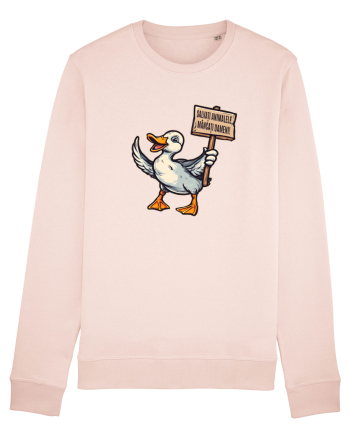 SALVATI ANIMALELE, MANCATI OAMENI - umor absurd - rata Candy Pink