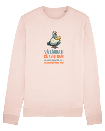 VA LAUDATI CA AVETI BANI, DAR VA ARUNCA PORUMBEII  PAINE Candy Pink