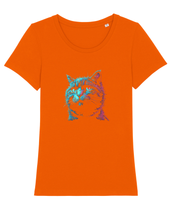 PISICA / MOTAN ALBASTRU DE RUSIA - RUSSIAN BLUE Bright Orange