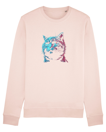 PISICA / MOTAN ALBASTRU DE RUSIA - RUSSIAN BLUE Candy Pink