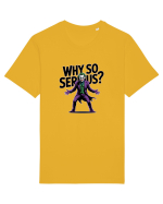 WHY SO SERIOUS? DE CE ESTI ASA SERIOS / SERIOASA? Tricou mânecă scurtă Unisex Rocker