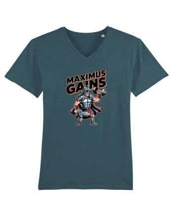 MAXIMUS GAINS Stargazer