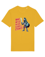 WHAT WE DO IN LIFE ECHOES IN ETERNITY- CEEA CE FACEM IN VIATA ARE ECOU  Tricou mânecă scurtă Unisex Rocker