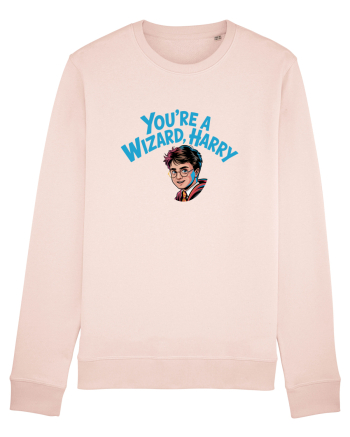 YOU`RE A WIZARD, HARRY! Candy Pink