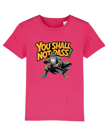 YOU SHALL NOT PASS! NU VEI TRECE! Raspberry