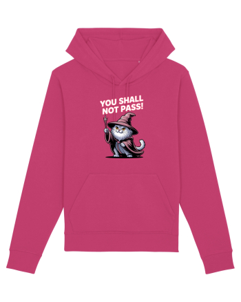YOU SHALL NOT PASS! NU VEI TRECE! pisica protectoare Raspberry