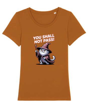 YOU SHALL NOT PASS! NU VEI TRECE! pisica protectoare Roasted Orange