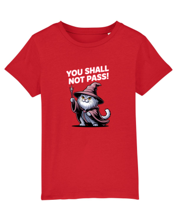 YOU SHALL NOT PASS! NU VEI TRECE! pisica protectoare Red