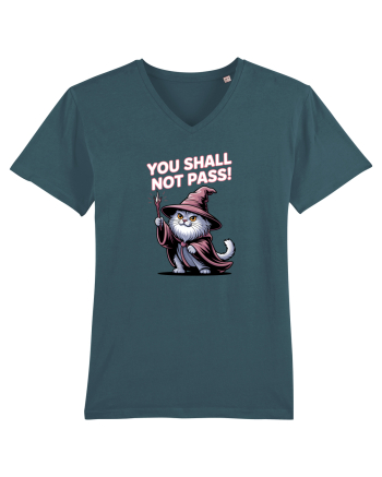 YOU SHALL NOT PASS! NU VEI TRECE! pisica protectoare Stargazer