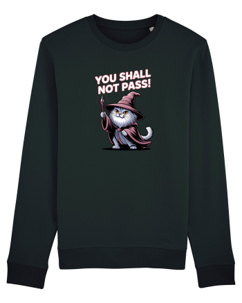 YOU SHALL NOT PASS! NU VEI TRECE! pisica protectoare Black