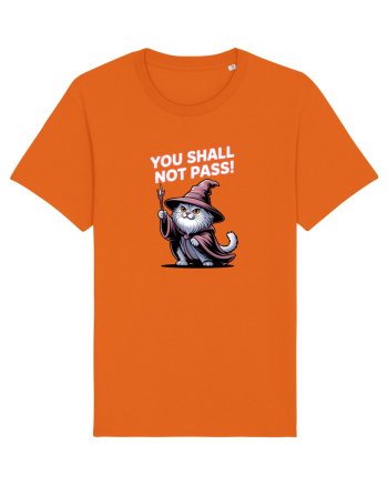 YOU SHALL NOT PASS! NU VEI TRECE! pisica protectoare Bright Orange